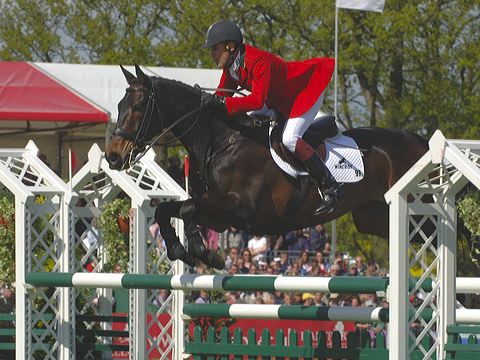 Andrew Hoy jumping Master Monarch                                                                                                                                                                                                                              